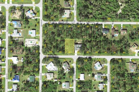 Land in Port Charlotte, Florida № 2213997 - photo 2