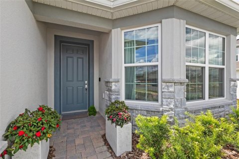 House in Mount Dora, Florida 3 bedrooms, 216.74 sq.m. № 1911909 - photo 4