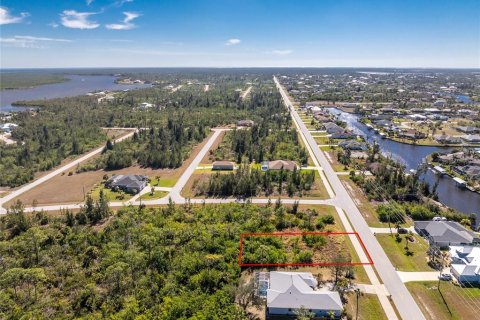 Land in Port Charlotte, Florida № 2161320 - photo 3