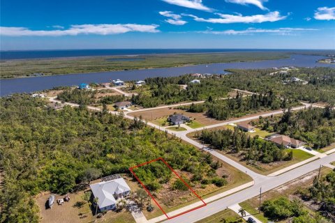 Land in Port Charlotte, Florida № 2161320 - photo 4