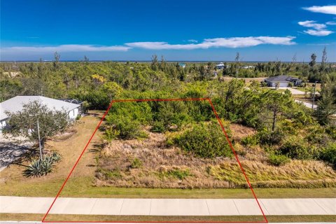Land in Port Charlotte, Florida № 2161320 - photo 9