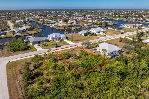 Land in Port Charlotte, Florida № 2161320 - photo 10
