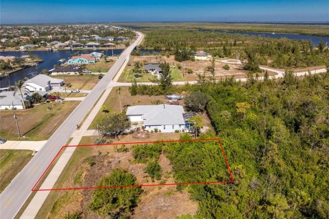 Land in Port Charlotte, Florida № 2161320 - photo 8