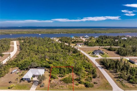 Land in Port Charlotte, Florida № 2161320