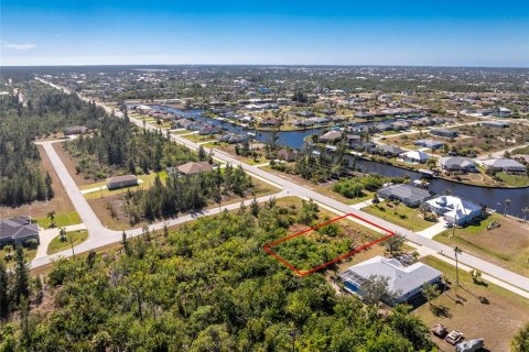 Land in Port Charlotte, Florida № 2161320 - photo 5