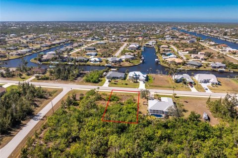 Land in Port Charlotte, Florida № 2161320 - photo 6