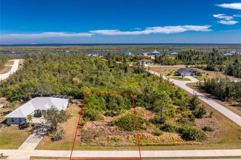 Land in Port Charlotte, Florida № 2161320 - photo 2