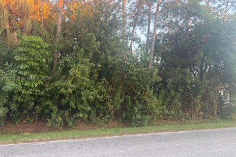 Terreno en St. Lucie, Florida № 1999866