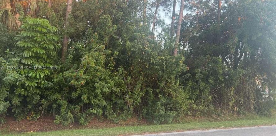 Land in St. Lucie, Florida № 1999866