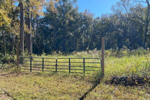 Terrain à vendre à Brooksville, Floride № 1785310 - photo 3