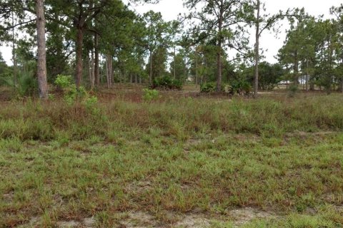 Land in Lehigh Acres, Florida № 2223841