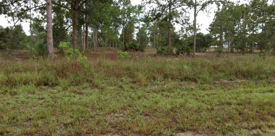 Terrain à Lehigh Acres, Floride № 2223841