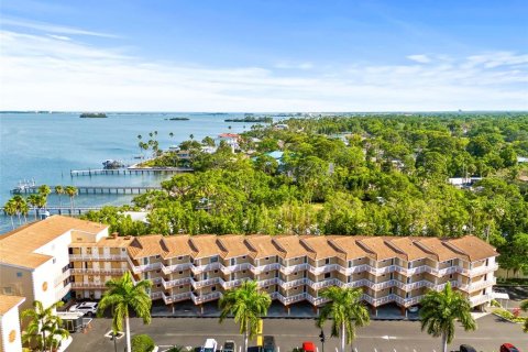 Condo in Dunedin, Florida, 3 rooms № 2222251 - photo 5