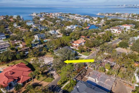 Land in Tampa, Florida № 1560734 - photo 3