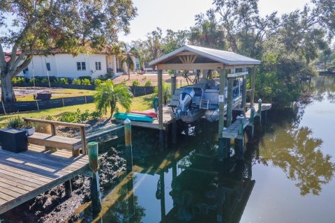 Land in Tampa, Florida № 1560734 - photo 10