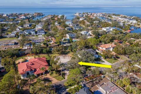 Land in Tampa, Florida № 1560734 - photo 4