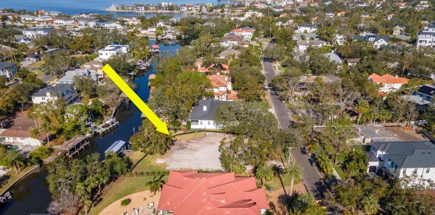 Land in Tampa, Florida № 1560734