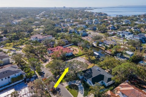 Land in Tampa, Florida № 1560734 - photo 5