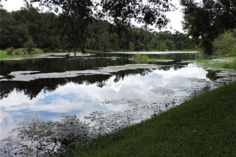 House in Mount Dora, Florida 3 bedrooms, 178.28 sq.m. № 1918941 - photo 2