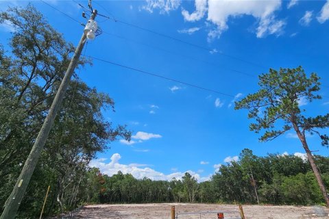 Land in Webster, Florida № 1259755 - photo 6