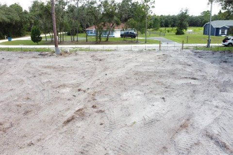 Land in Webster, Florida № 1259755 - photo 10