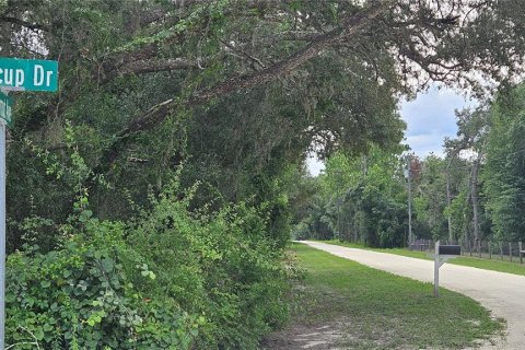 Land in Webster, Florida № 1259755 - photo 16