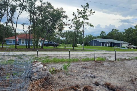 Land in Webster, Florida № 1259755 - photo 8