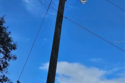 Land in Webster, Florida № 1259755 - photo 7