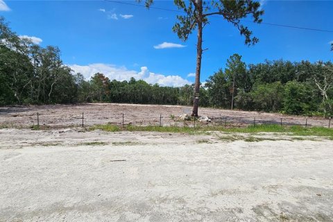 Land in Webster, Florida № 1259755 - photo 3