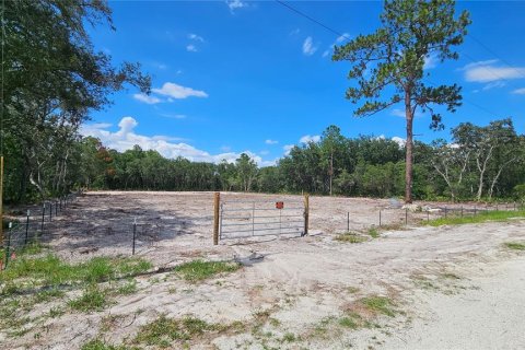 Land in Webster, Florida № 1259755 - photo 2