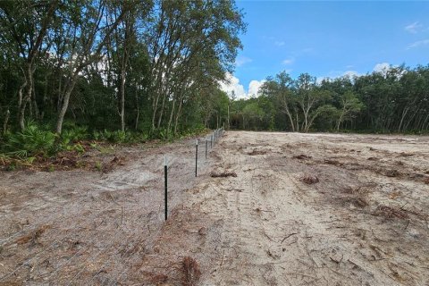 Land in Webster, Florida № 1259755 - photo 4