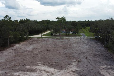 Land in Webster, Florida № 1259755 - photo 12