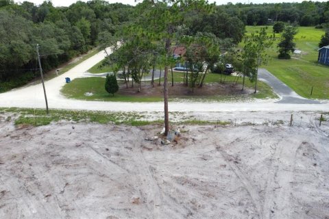 Land in Webster, Florida № 1259755 - photo 15
