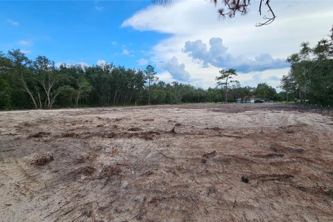 Land in Webster, Florida № 1259755 - photo 5