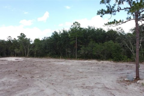 Land in Webster, Florida № 1259755 - photo 9