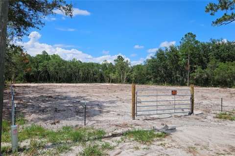 Land in Webster, Florida № 1259755 - photo 1