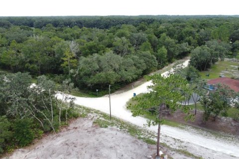 Land in Webster, Florida № 1259755 - photo 13
