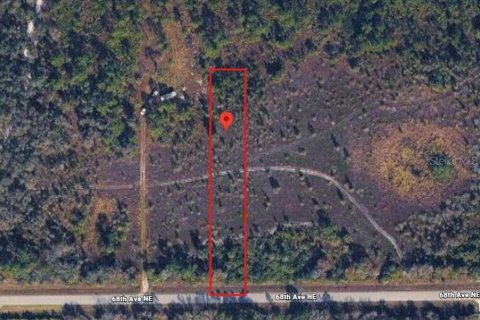 Land in Naples, Florida № 2372824 - photo 2