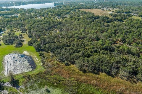 Casa en venta en Inverness, Florida, 1 dormitorio, 85.84 m2 № 1561477 - foto 28