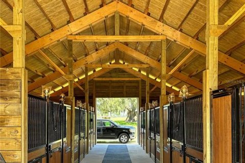Villa ou maison à vendre à Ocala, Floride: 4 chambres, 301 m2 № 1796609 - photo 4