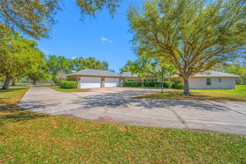 House in Spring Hill, Florida 5 bedrooms, 516.91 sq.m. № 2115713 - photo 6