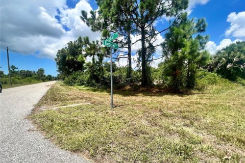 Land in Port Charlotte, Florida № 2159950
