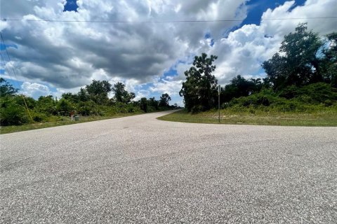 Land in Port Charlotte, Florida № 2159950 - photo 2