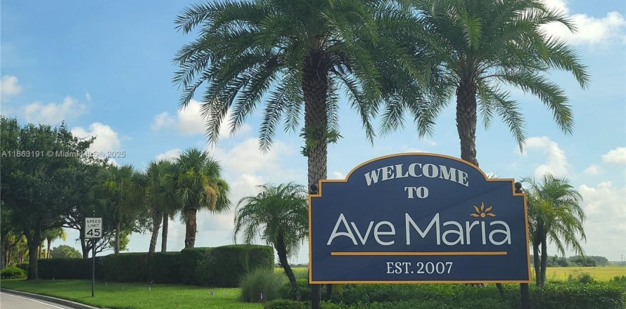 Villa ou maison à Ave Maria, Floride 3 chambres, 169.64 m2 № 1891868