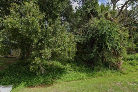 Land in Fort Pierce, Florida № 1011960 - photo 1