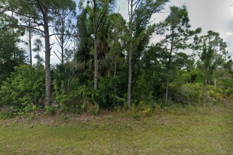 Land in Port Charlotte, Florida № 2164976