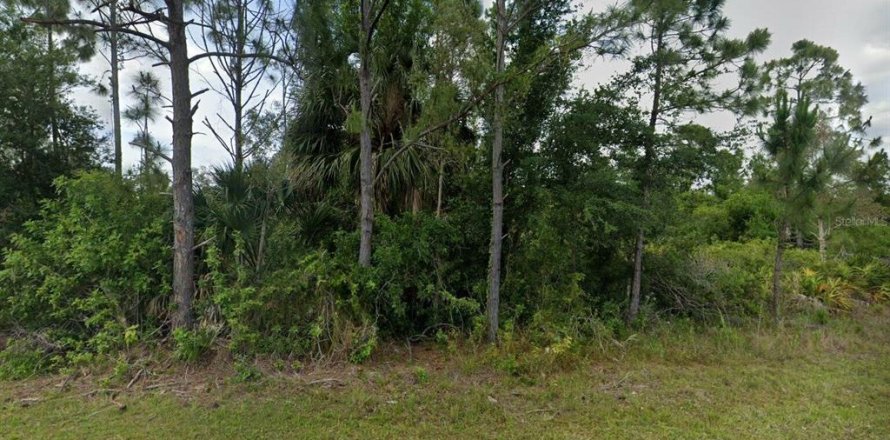Land in Port Charlotte, Florida № 2164976