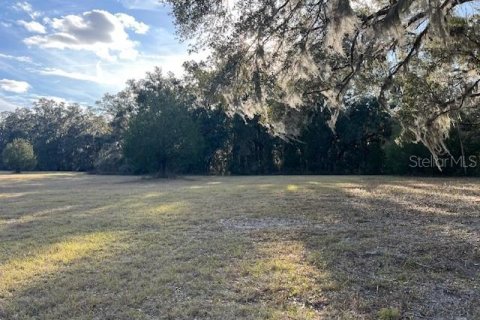 Land in Newberry, Florida № 1812819 - photo 6
