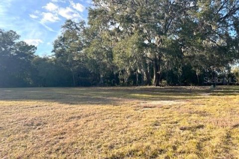 Land in Newberry, Florida № 1812819 - photo 4