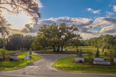 Land in Newberry, Florida № 1812819 - photo 2